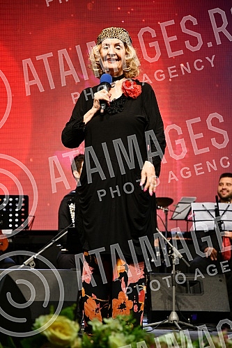 On the third day of the first festival of the Golden Harmonica of Kraljevo, the concert 