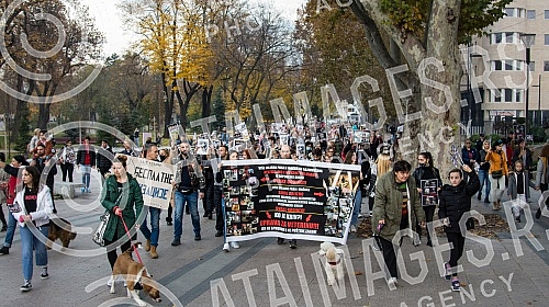 A No Back protest was held in Nis, which is part of a joint struggle for all animals throughout Serbia, for the absolute implementation of the Animal Welfare Law and the Veterinary Law without changing the laws and strategies, for the humane solution