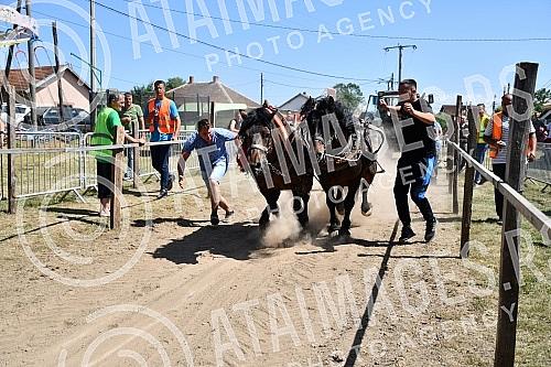 In the valley of the West Morava in the village of Tavnik, halfway between Kraljevo and Cacak, the Straparijada was held, one of the largest in this part of the country.U dolini Zapadne Morave u selu Tavnik, na pola puta izmedju Kraljeva i Cacka, o