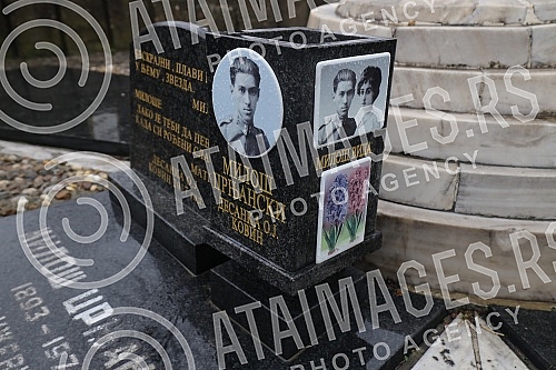 Alley of meritorious citizens at the New Cemetery - grave of Milos Crnjanski.Aleja zasluznih gradjana na Novom groblju - grobnica Milosa Crnjanskog