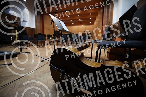 The concert The concert