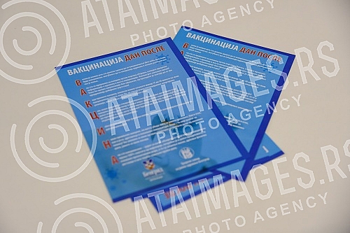 The team of the program for connecting with the Serbian diaspora 