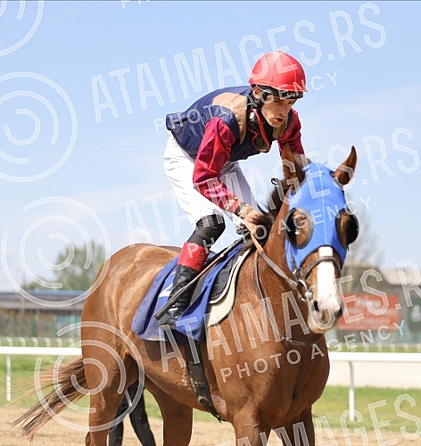 First May - Labor Day at the Belgrade Hippodrome.Prvi maj, praznik rada na beogradskom Hipodromu.