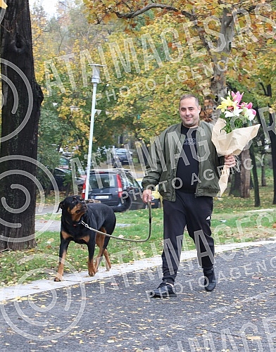 President of the Serbian right Misa Vacic on a walk with his pet Rottweiler Atila. Predsednik Srpske desnice Misa Vacic u setnji sa ljubimcem rotvajlerom Atilom.