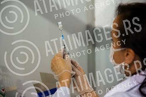 The team of the program for connecting with the Serbian diaspora 