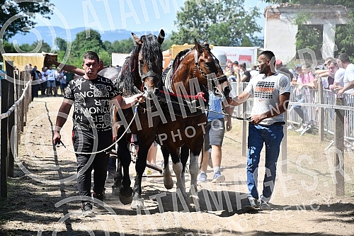 In the valley of the West Morava in the village of Tavnik, halfway between Kraljevo and Cacak, the Straparijada was held, one of the largest in this part of the country.U dolini Zapadne Morave u selu Tavnik, na pola puta izmedju Kraljeva i Cacka, o