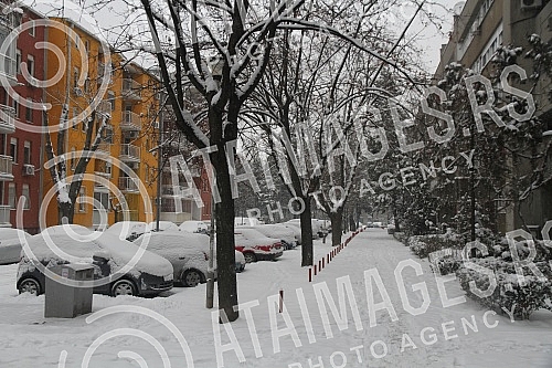 Winter and snow in Belgrade.
Zima i sneg u Beogradu. Winter and snow in Belgrade.
Zima i sneg u Beogradu.