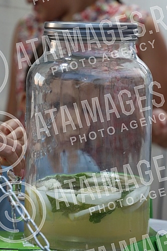 The performance of the group Frajle is part of Berry Fest, the first festival of strawberry fruit in Belgrade.Nastup grupe Frajle su sklopu Berry festa, prvog festivala jagodastog voca u Beogradu.