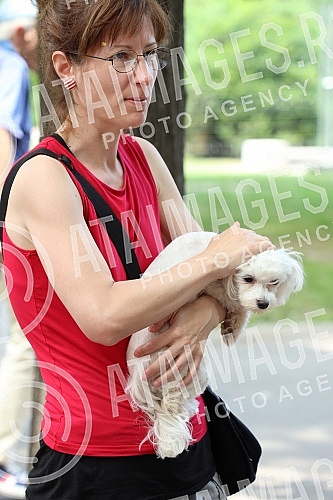 The first regional festival of dogs of all breeds called 