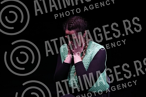 In the Cultural Center of Pancevo on the Small Stage, the play In the Cultural Center of Pancevo on the Small Stage, the play