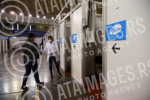 The team of the program for connecting with the Serbian diaspora 