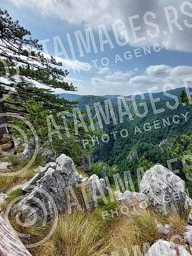 The beauties of Tara National Park.Lepote Nacionalnog parka Tara.