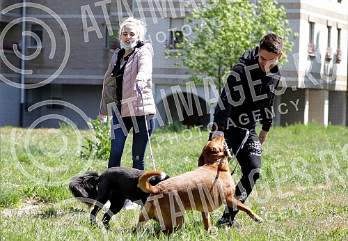 Singer Sara Reljic with brother Filip walking dogs (paparazzo).Pevacica Sara Reljic sa bratom Filipom seta kucice (paparaco).
