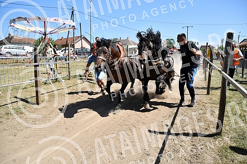 In the valley of the West Morava in the village of Tavnik, halfway between Kraljevo and Cacak, the Straparijada was held, one of the largest in this part of the country.U dolini Zapadne Morave u selu Tavnik, na pola puta izmedju Kraljeva i Cacka, o