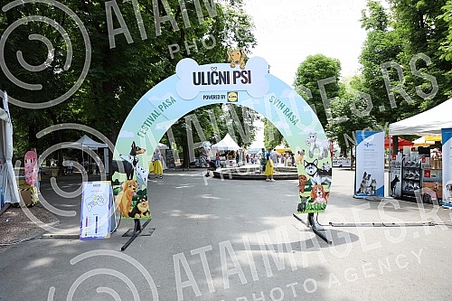 The first regional festival of dogs of all breeds called 