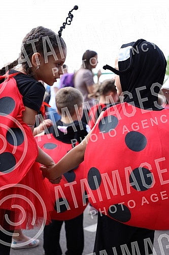 The Belgrade Tourist Organization organized the 17th Belgrade Boat Festival.Turisticka organizacija Beograda organizovala je 17. Beogradski festival brodova.