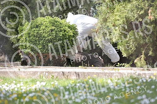 Pensioner Bozidar D. (77) at the morning in a village near Golubac - Baric killed three and then in the yard of the church committed suicide.
