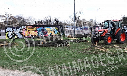 Cutting trees on Usce and Kalemegdan, as a preparation for mounting a gondola over the Sava River.Seca drveca na Uscu i Kalemegdanu, kao priprema za postavljanje gondole preko reke Save