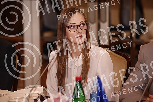 The final conference of the project 