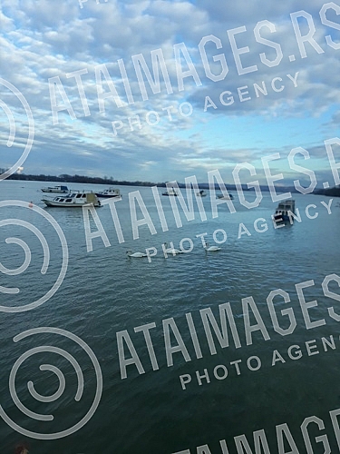 Calm the day on the Zemun's  wharf. Smiraj dana na zemunskom keju. 
