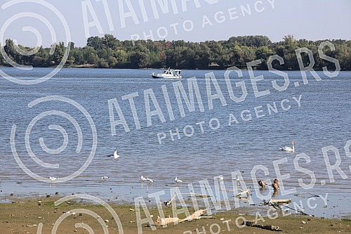 Low water level on the Danube River.Nizak vodostaj na reci Dunav.