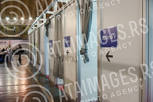 The team of the program for connecting with the Serbian diaspora 