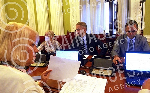 The session of the Parliamentary Committee for Foreign Affairs, whose agenda included a report on the international cooperation of the Serbian Parliament in 2021, was held in the House of the National Assembly.Sednica skupstinskog Odbora za spoljne