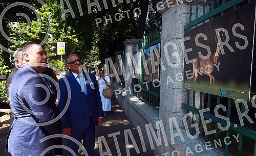 An exhibition of photographs An exhibition of photographs