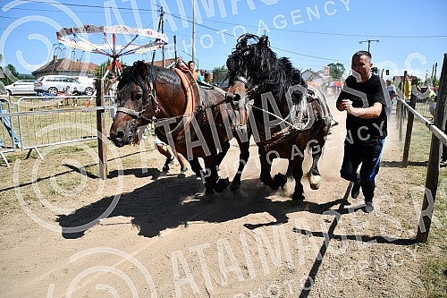 In the valley of the West Morava in the village of Tavnik, halfway between Kraljevo and Cacak, the Straparijada was held, one of the largest in this part of the country.U dolini Zapadne Morave u selu Tavnik, na pola puta izmedju Kraljeva i Cacka, o