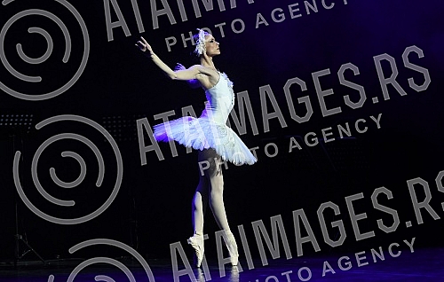 Ana Djuric, champion of the Serbian National Theater in Novi Sad, in the legendary classical ballet Swan Lake, on stage in the role of Odette, the queen of swans.Ana Djuric, prvakinja Srpskog narodnog pozorista u Novom Sadu, u legendarnom klasicnom