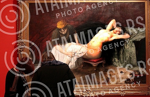 In the gallery of SANU, a press conference was held on the occasion of the opening of the exhibition of paintings by academician Vlaho Bukovac entitled 