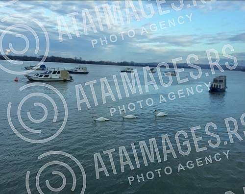 Calm the day on the Zemun's  wharf. Smiraj dana na zemunskom keju. 