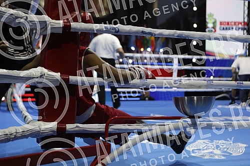 Celebrating World Boxing Day with a class of Roy Jones Jr. at Republic Square.Obelezavanje Svetskog dana boksa uz cas Roj Dzonsa Juniora na Trgu republike.
