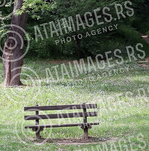 International Labor Day - May 1 in Belgrade. Curfew at the time of COVID 19.Medjunarodni praznik rada - 1. maj u Beogradu. Policijski cas u vreme COVID 19.