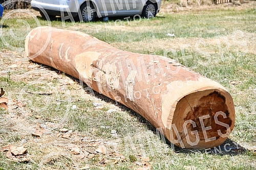 In the valley of the West Morava in the village of Tavnik, halfway between Kraljevo and Cacak, the Straparijada was held, one of the largest in this part of the country.U dolini Zapadne Morave u selu Tavnik, na pola puta izmedju Kraljeva i Cacka, o