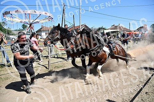 In the valley of the West Morava in the village of Tavnik, halfway between Kraljevo and Cacak, the Straparijada was held, one of the largest in this part of the country.U dolini Zapadne Morave u selu Tavnik, na pola puta izmedju Kraljeva i Cacka, o