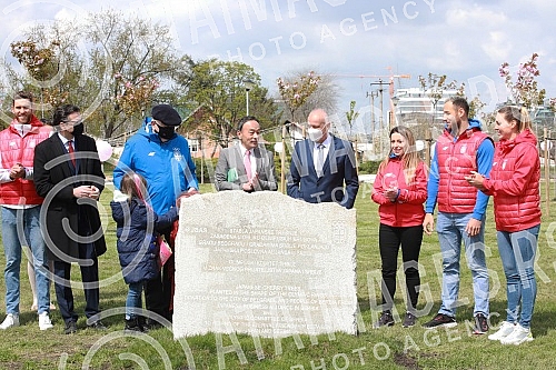 In anticipation of the Olympic Games in Tokyo, the Olympic Committee of Serbia, the Embassy of Japan and the Japanese Business Alliance presented Olympic circles created from Japanese cherry trees on the stretch between the Old Sava Bridge and the Ga