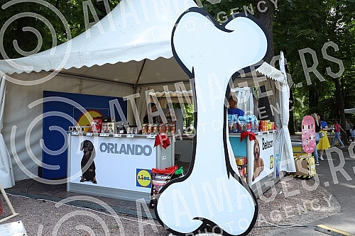 The first regional festival of dogs of all breeds called The first regional festival of dogs of all breeds called