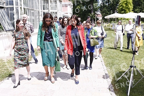 The conference The conference