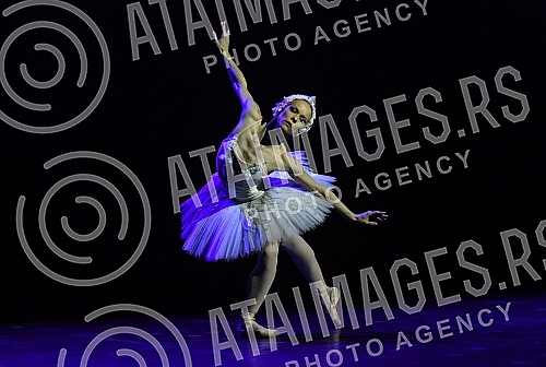 Ana Djuric, champion of the Serbian National Theater in Novi Sad, in the legendary classical ballet Swan Lake, on stage in the role of Odette, the queen of swans.Ana Djuric, prvakinja Srpskog narodnog pozorista u Novom Sadu, u legendarnom klasicnom