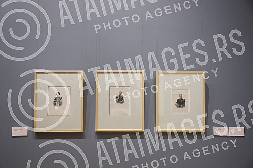 Author's guide through the latest exhibition 