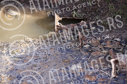 The press conference of the Democratic Party and the Eco-Pancevacki rit association was held on Pancevacki put, and the topic of the conference was the question of whether and to what extent the flora and fauna on the left bank of the Danube are enda