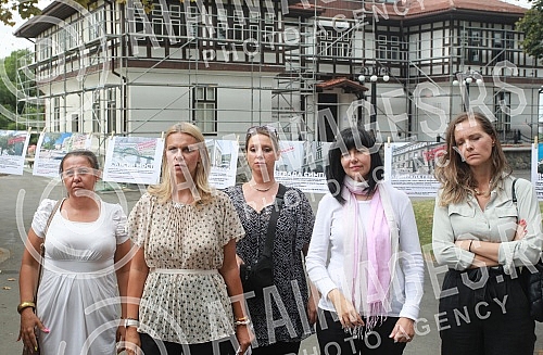 In front of the Institute for the Protection of Cultural Monuments in Kalemegdan, the exhibitions of the Party of Freedom and Justice 