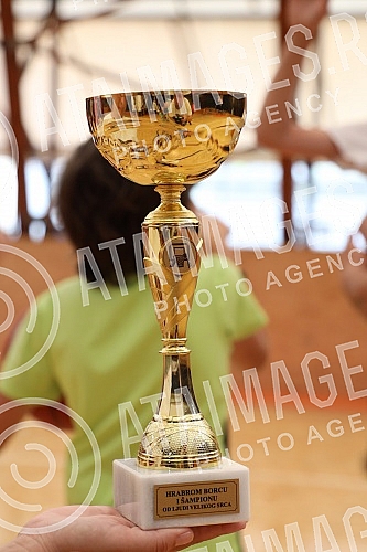 The Amateur Super League and the Humanitarian Foundation 