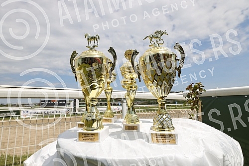 First May - Labor Day at the Belgrade Hippodrome.Prvi maj, praznik rada na beogradskom Hipodromu.