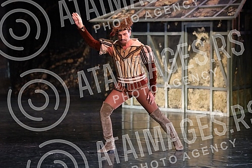 The famous romantic ballet 