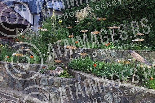 Zlatibor during the summer season.Zlatibor tokom letnje sezone.