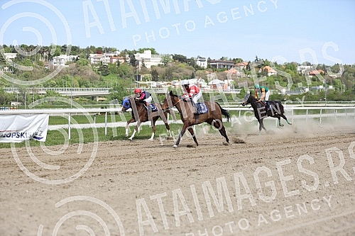 First May - Labor Day at the Belgrade Hippodrome.Prvi maj, praznik rada na beogradskom Hipodromu.