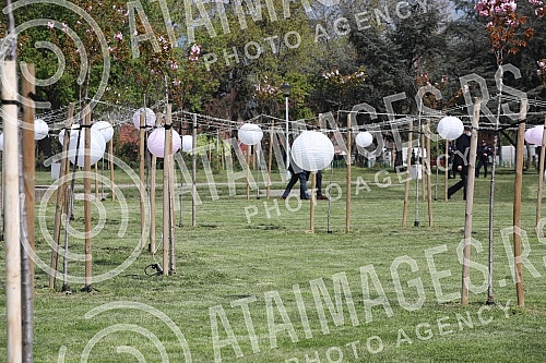 In anticipation of the Olympic Games in Tokyo, the Olympic Committee of Serbia, the Embassy of Japan and the Japanese Business Alliance presented Olympic circles created from Japanese cherry trees on the stretch between the Old Sava Bridge and the Ga