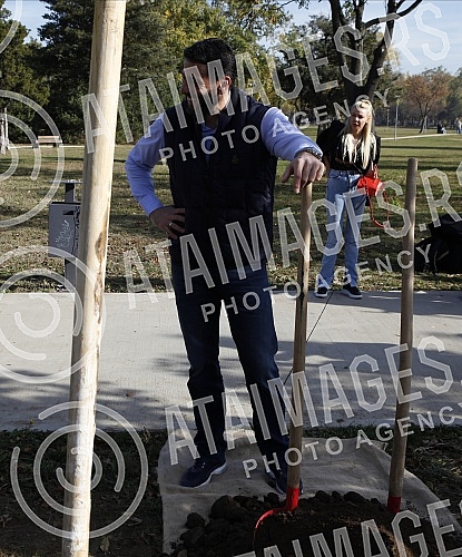 In the Friendship Park in Usce, the Serbian Progressive Party celebrated its 13th birthday by planting 13 trees.In the Friendship Park in Usce, the Serbian Progressive Party celebrated its 13th birthday by planting 13 trees.